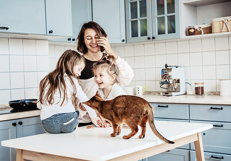 En familj syns i köket - en mamma står i bakgrunden. I förgrunden syns en dotter och en son som sitter på ett bord och klappar på en katt.