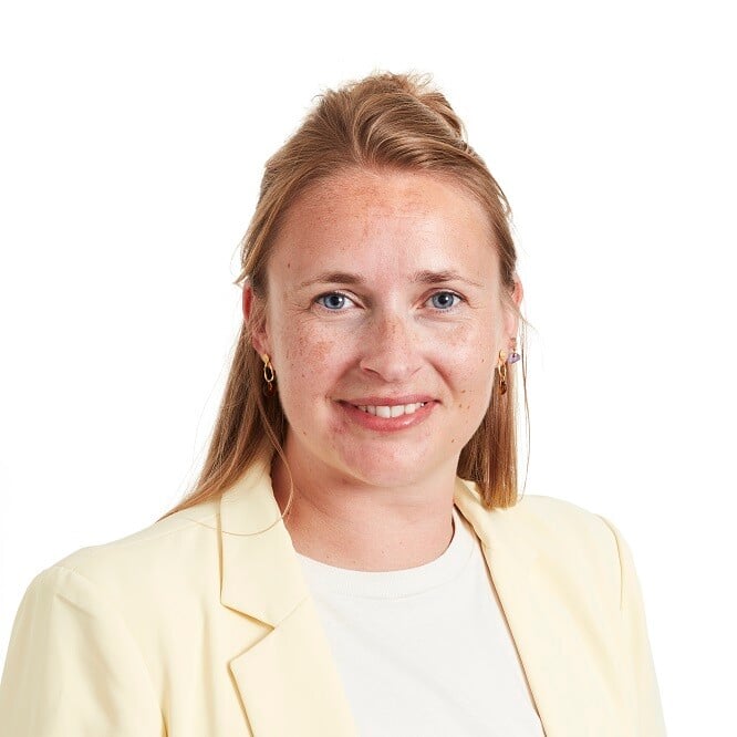 Stine-1